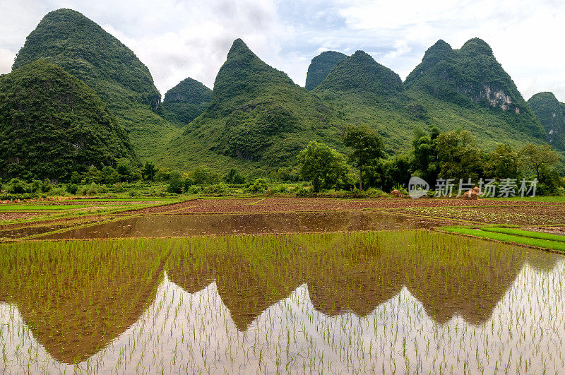 稻田，山映水，中国桂林的村庄