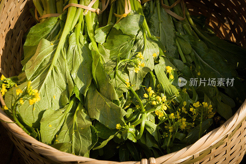 老挝:芥菜和黄花柳条篮子