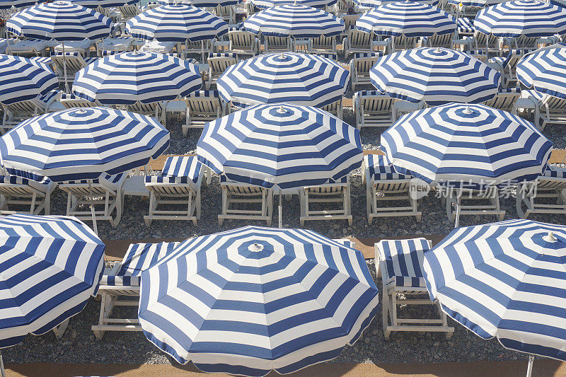 沙滩伞和日光浴躺椅
