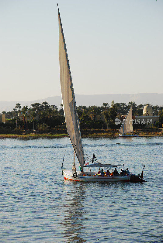 帆船“Felluca”在埃及尼罗河