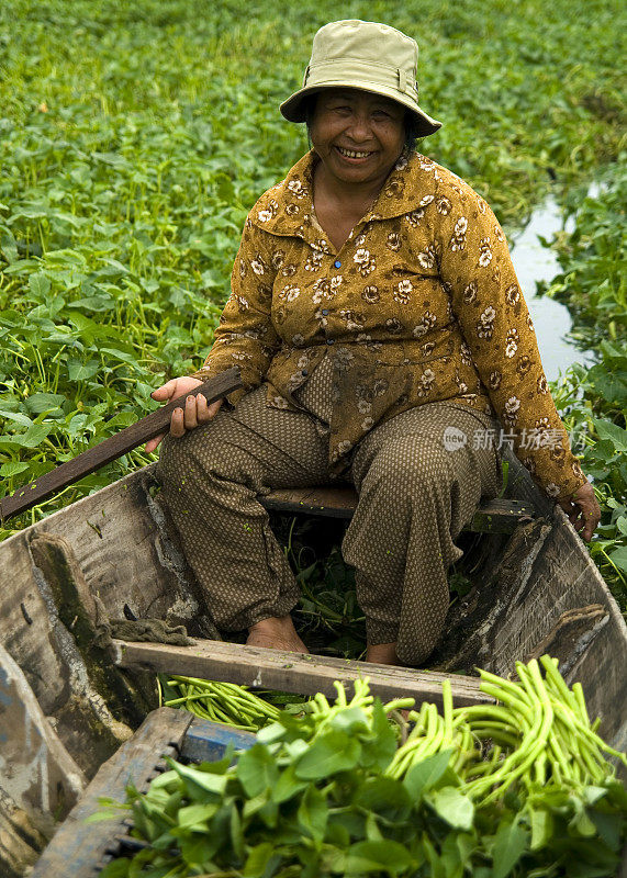 亚洲妇女在船上收获蔬菜