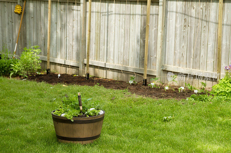 院子里装满沙拉蔬菜和香草的容器