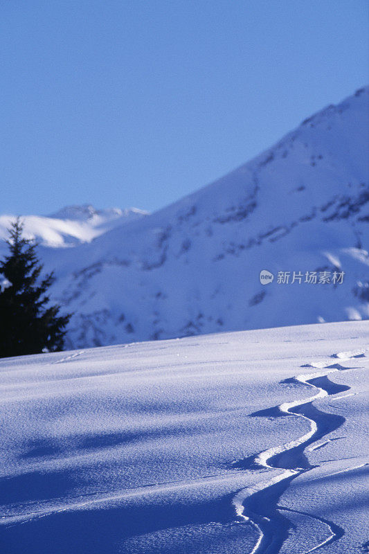 雪山上新鲜的滑雪痕迹