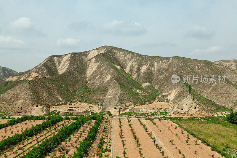 造林绿化，保护环境，中国甘肃