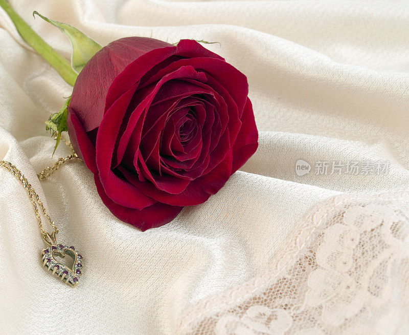 红玫瑰和心形项链