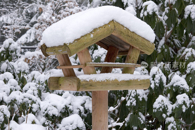 鸟笼在雪