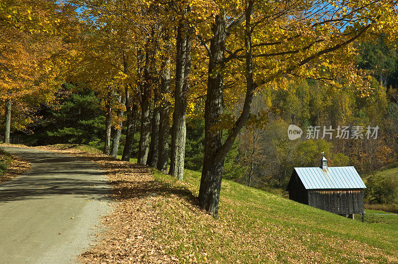 佛蒙特州的乡村道路