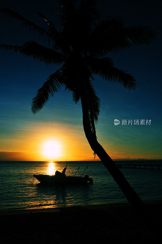 海滩日落-椰子树和船