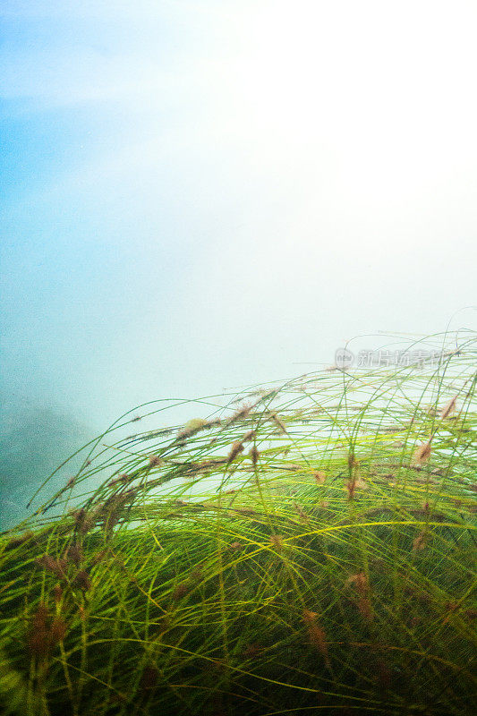 海景