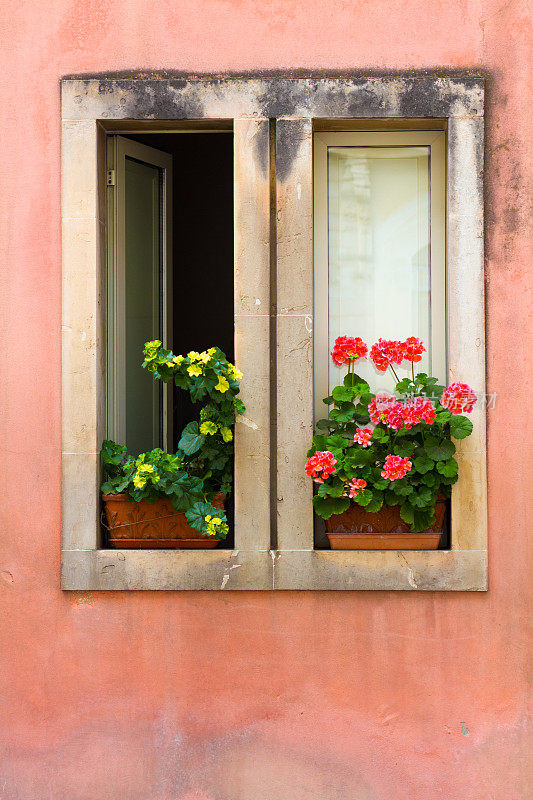 意大利，天竺葵的粉红之窗