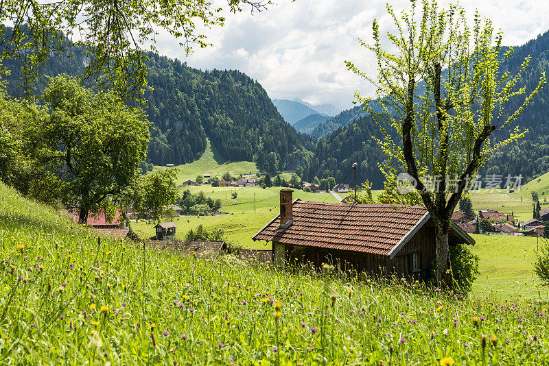 夏季的巴伐利亚景观