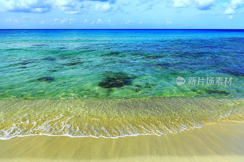 荒凉的海滩和海鸟-阿鲁巴，加勒比海