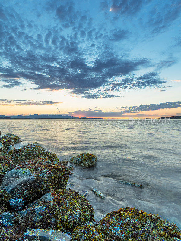 日落中的岩石海滩，普吉特湾，阿尔基海滩，西雅图，美国