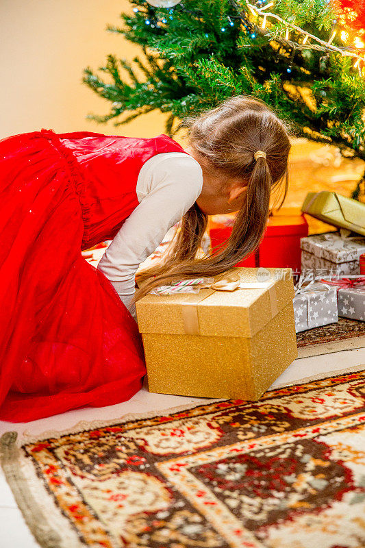 小女孩在圣诞树下看她的礼物