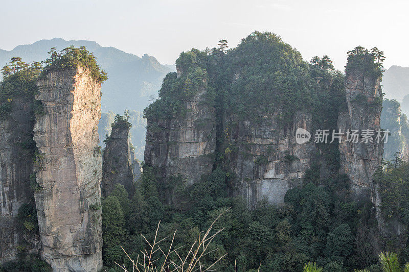 砂岩柱，张家界国家森林公园，中国