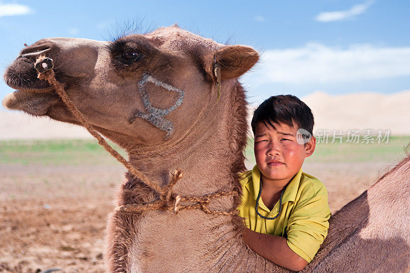 蒙古小男孩和骆驼