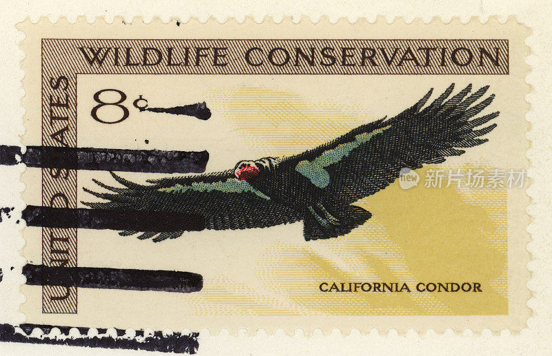 加州秃鹫邮票