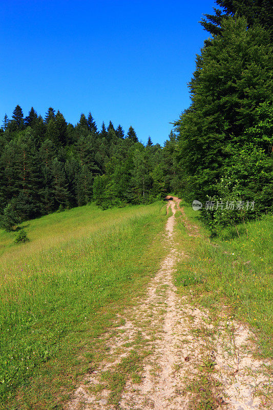 山路。夏天,Pieniny,斯洛伐克。