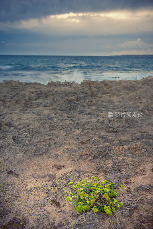 风景优美的海上风景