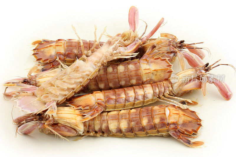 煮过的螳螂虾孤立在白色背景。