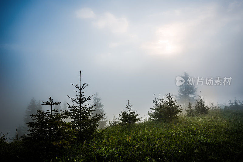 多雾的早晨的太阳