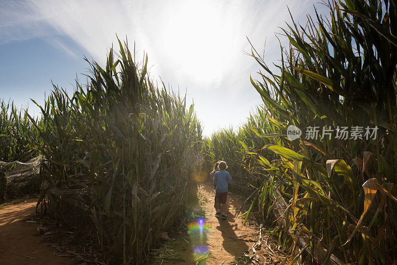 玉米迷宫冒险