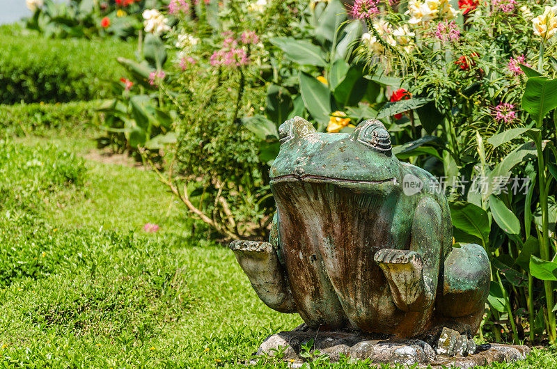 花园中的青蛙雕像