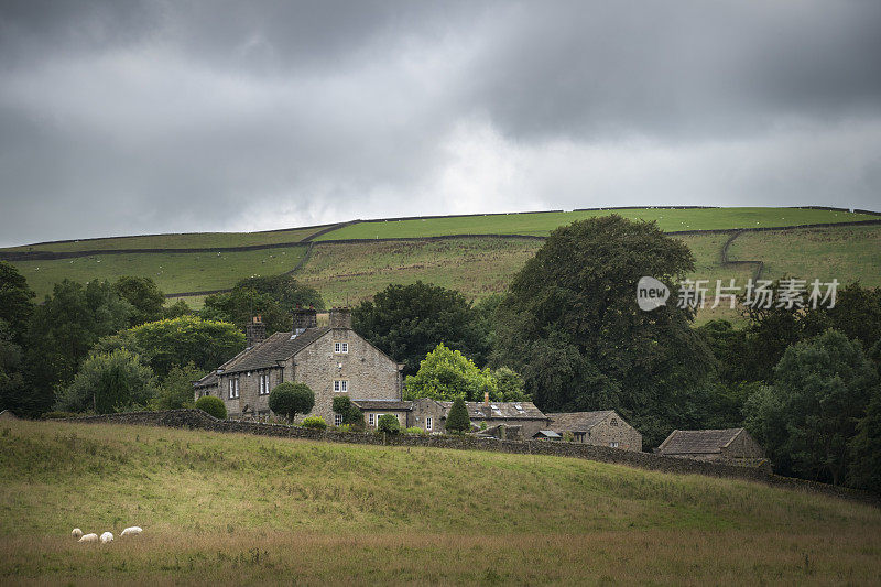 绵羊在农田里吃草，背景是典型的英国农舍