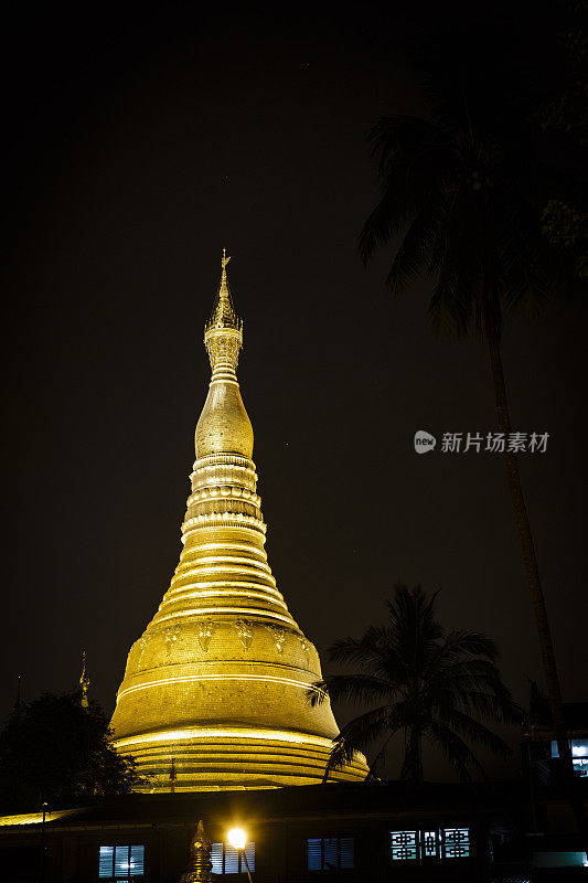 大金柏寺