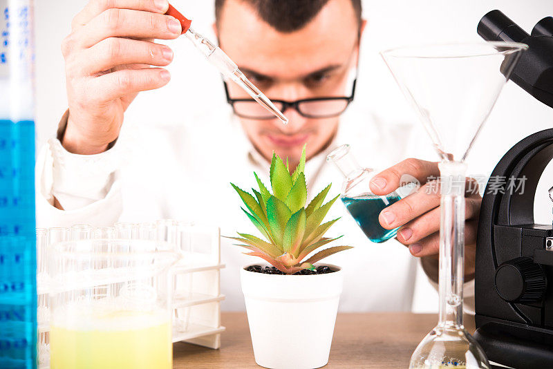 科学家拿着吸管在植物上方