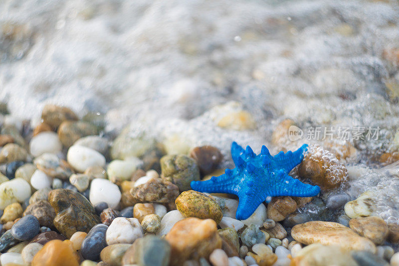 海浪中的蓝色海星