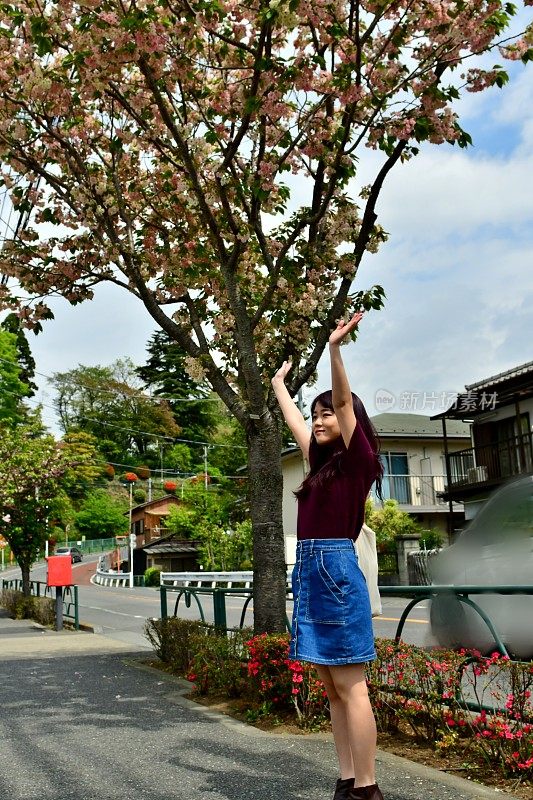 年轻的日本女子站在樱花下