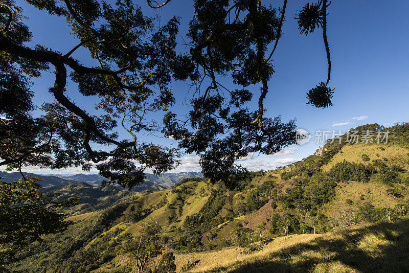 米纳斯吉拉斯南部的风景有山和树