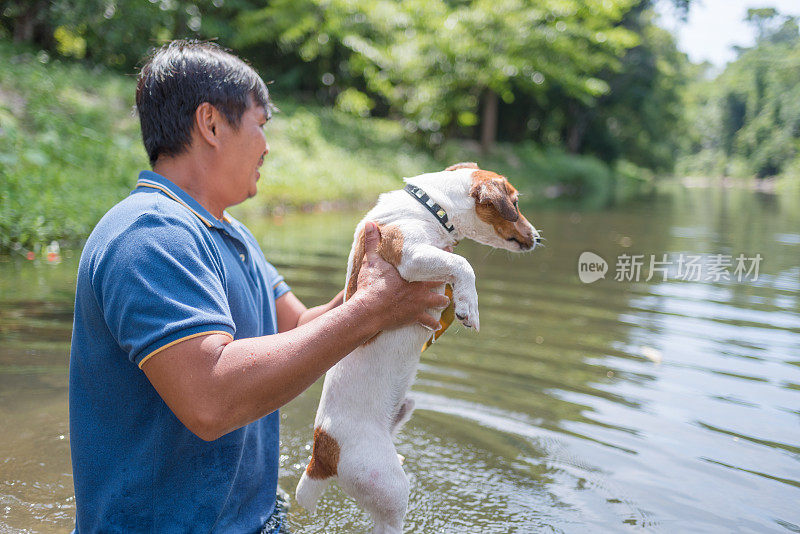 亚洲家庭玩好玩的杰克罗素梗狗在瀑布在夏天的早晨