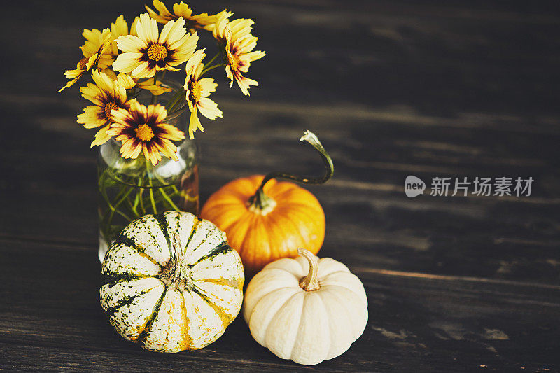 秋天的静物与金菊花束和微型南瓜