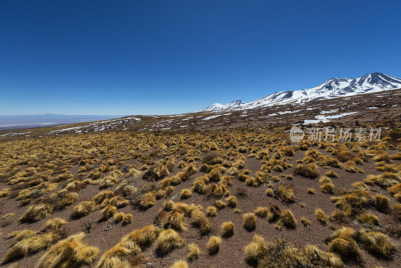 风景-阿塔卡马沙漠-安第斯山脉-雪山-安第斯高原
