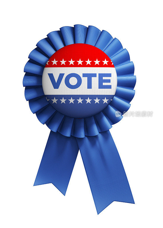 美国选举的投票徽章