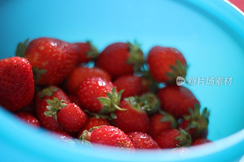 各种水果草莓