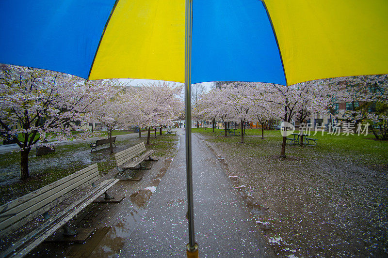 在公园里下雨