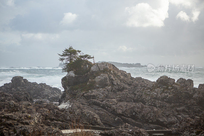 来自加拿大托菲诺的海浪冲击着海岸线