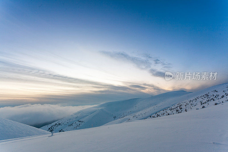 雪后冰雪覆盖的冷杉林和冬日灰蒙蒙的天空。喀尔巴阡山脉,乌克兰。