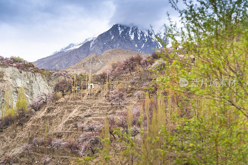 沿山的自然景观罕萨山谷在秋季包围喀喇昆仑山脉在巴基斯坦亚洲