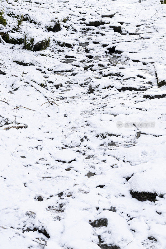 冬末春初降雪后潮湿泥泞的徒步路线