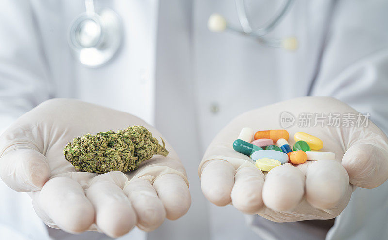 医生手握花蕾的药用大麻和药丸