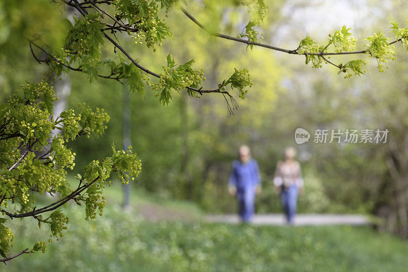 春天美丽的大自然