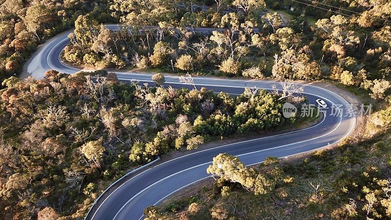 森林中蜿蜒道路