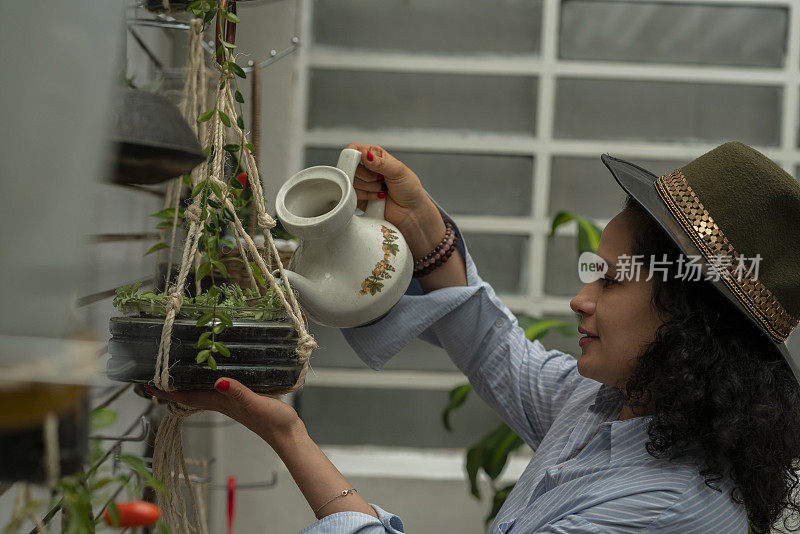 拉丁妇女给植物浇水