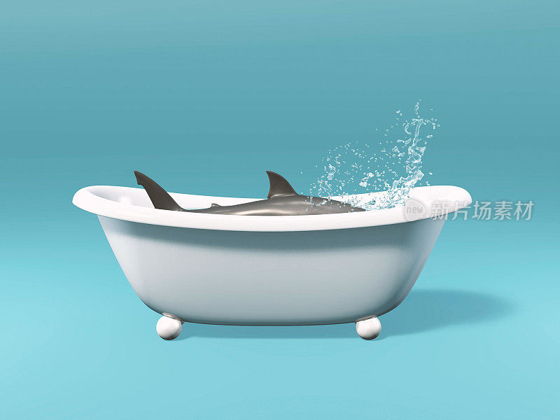 浴缸里的鲨鱼被隔离在蓝色背景下。这是一个3d渲染图。