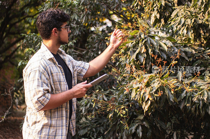 一个年轻人正在考察一个种植园。研究员