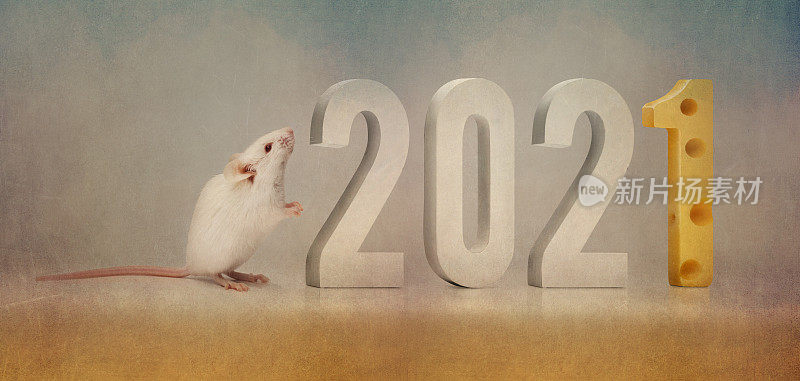 小白鼠和奶酪2021年新年快乐